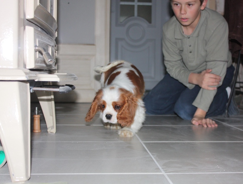 Publication : du Domaine du Sable Blanc