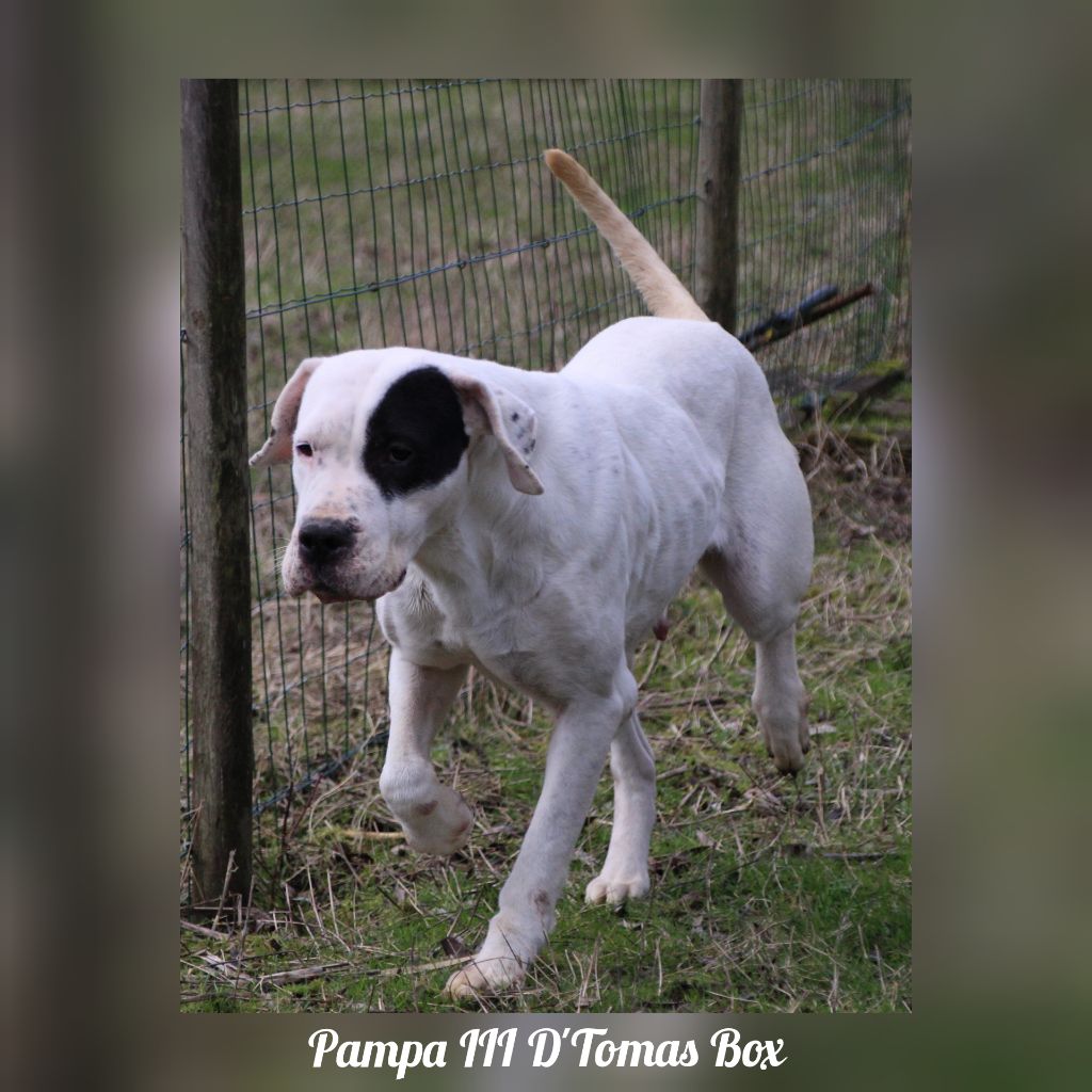 Publication : du Domaine du Sable Blanc Auteur : Le Domaine Du Sable Blanc