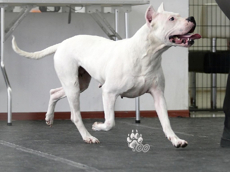 Publication : du Domaine du Sable Blanc Auteur : Le Domaine Du Sable Blanc