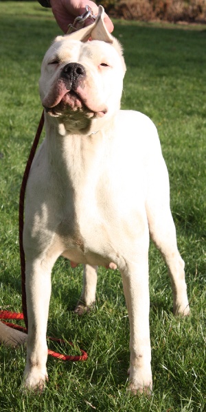 Publication : du Domaine du Sable Blanc Auteur : Delphine