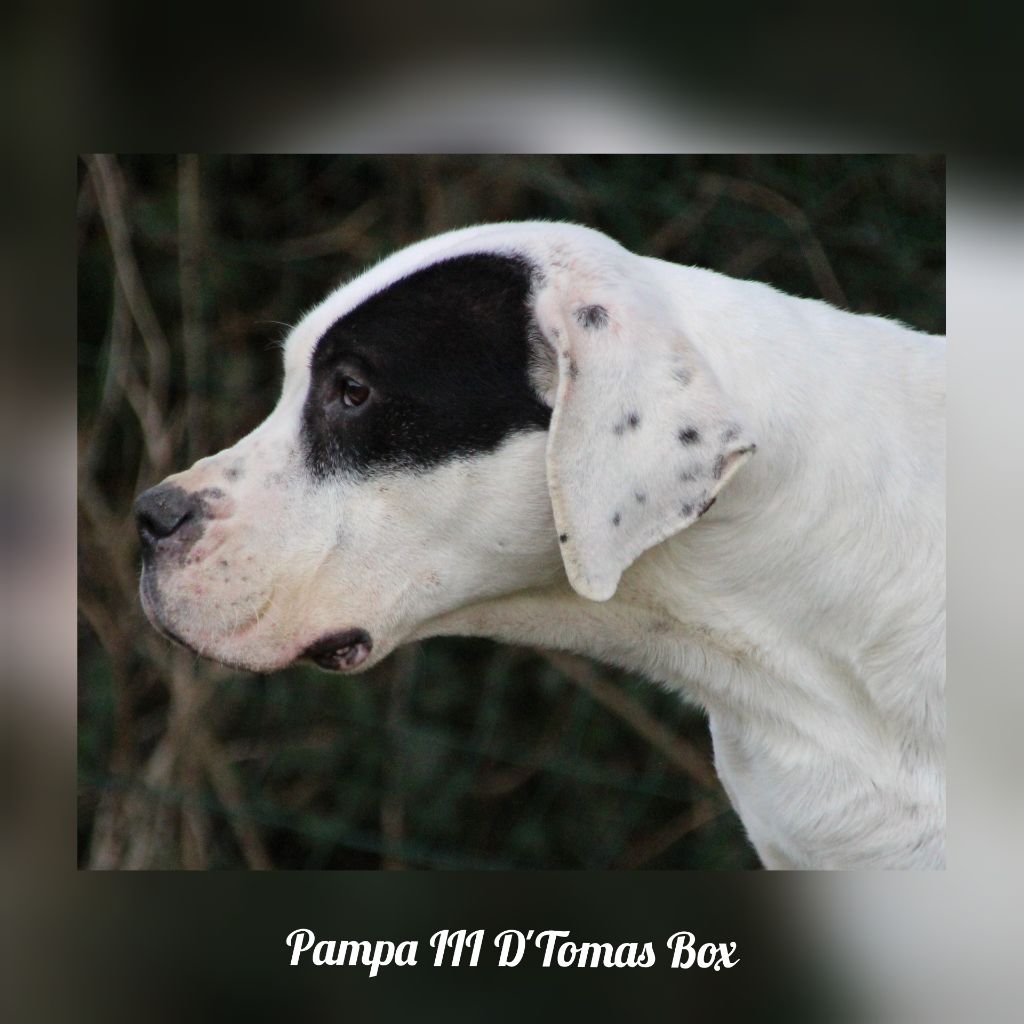 Publication : du Domaine du Sable Blanc Auteur : Le Domaine Du Sable Blanc