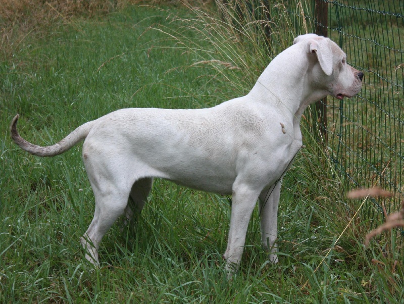 Publication : du Domaine du Sable Blanc Auteur : Le Domaine Du Sable Blanc