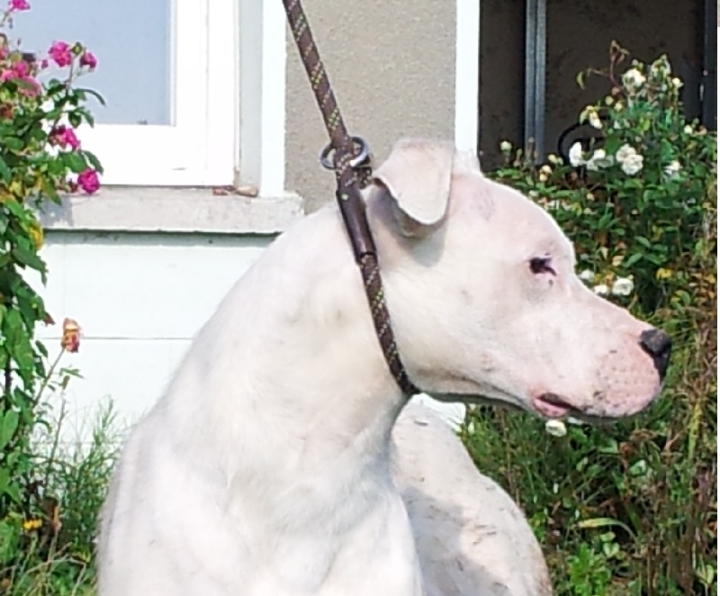 Publication : du Domaine du Sable Blanc Auteur : Le Domaine Du Sable Blanc