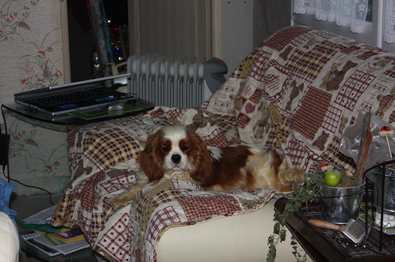 Publication : du Domaine du Sable Blanc