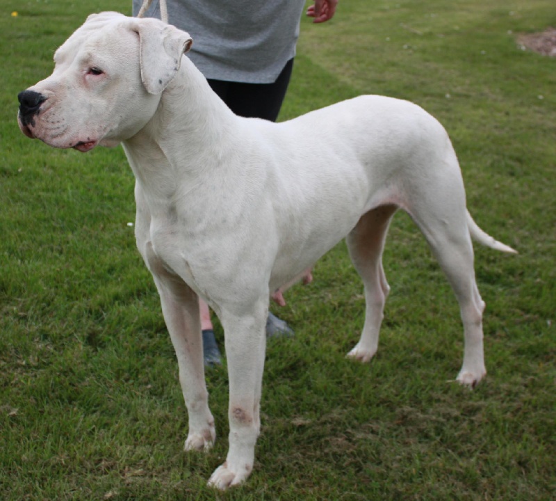 Publication : du Domaine du Sable Blanc Auteur : Delphine