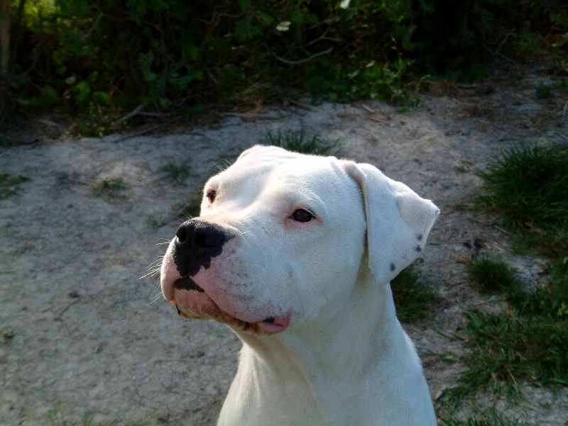 Publication : du Domaine du Sable Blanc Auteur : Delphine