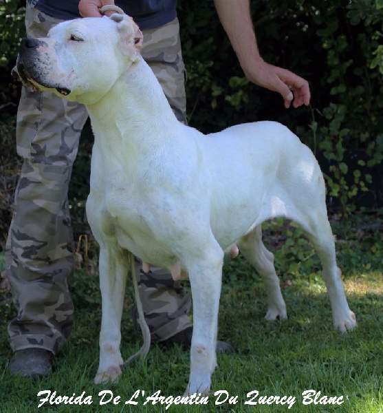 Publication : du Domaine du Sable Blanc Auteur : Le Domaine Du Sable Blanc