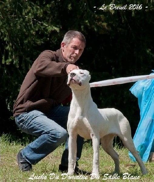 Publication : du Domaine du Sable Blanc Auteur : Le Domaine Du Sable Blanc