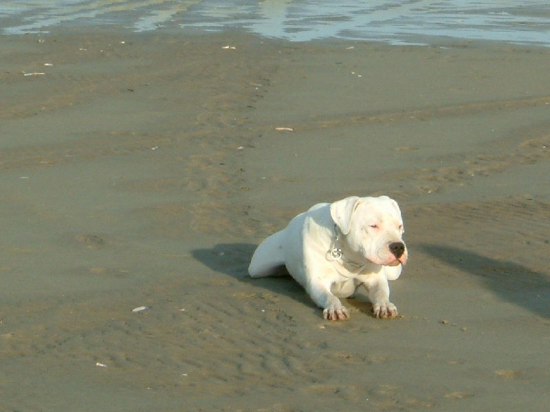 Publication : du Domaine du Sable Blanc Auteur : Delphine