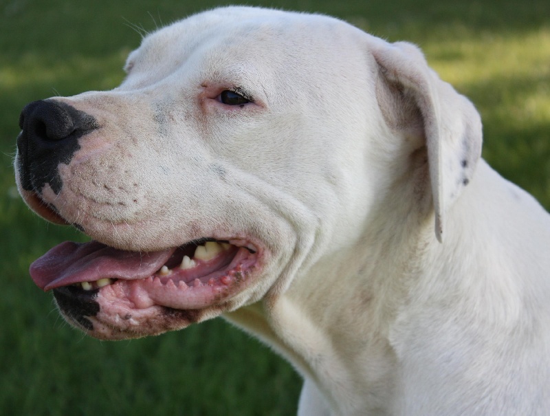 Publication : du Domaine du Sable Blanc Auteur : Delphine