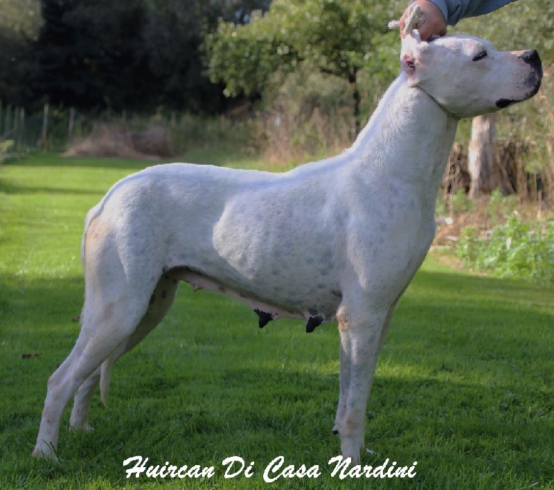 Publication : du Domaine du Sable Blanc Auteur : Le Domaine Du Sable Blanc