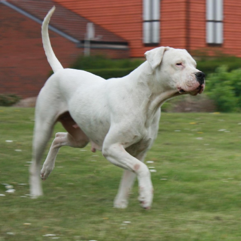 Publication : du Domaine du Sable Blanc Auteur : Delphine