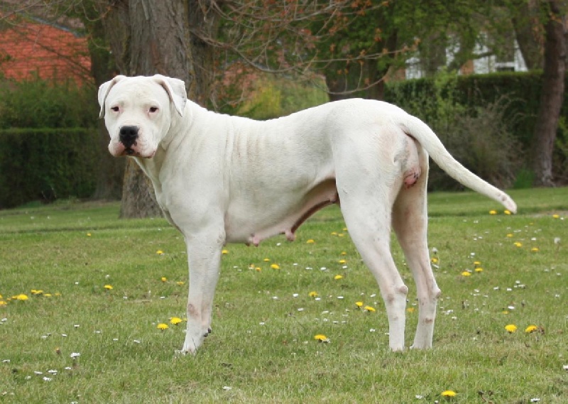 Publication : du Domaine du Sable Blanc Auteur : Delphine