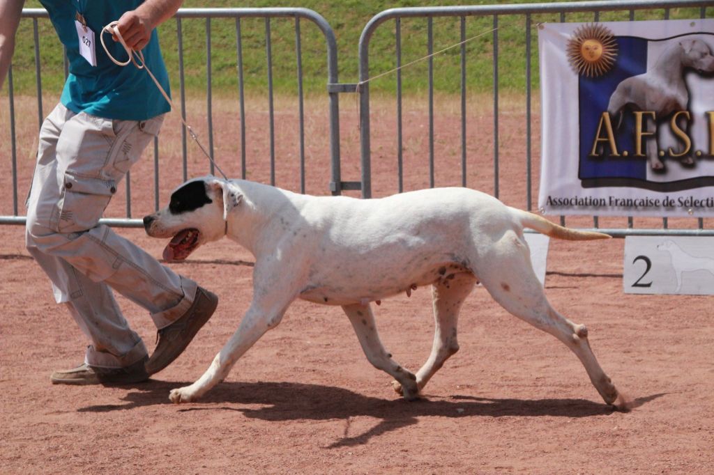 Publication : du Domaine du Sable Blanc Auteur : Le Domaine Du Sable Blanc