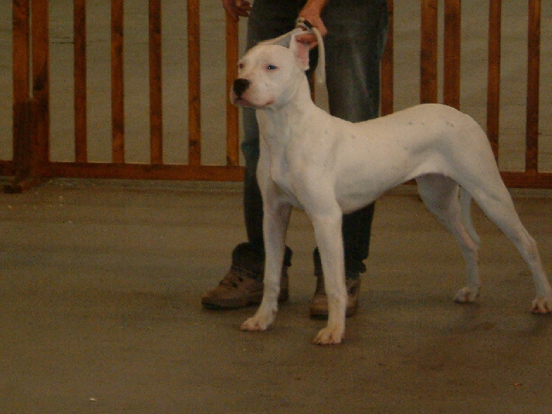 Publication : du Domaine du Sable Blanc Auteur : Delphine