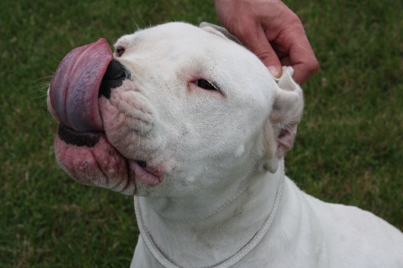 Publication : du Domaine du Sable Blanc Auteur : Delphine