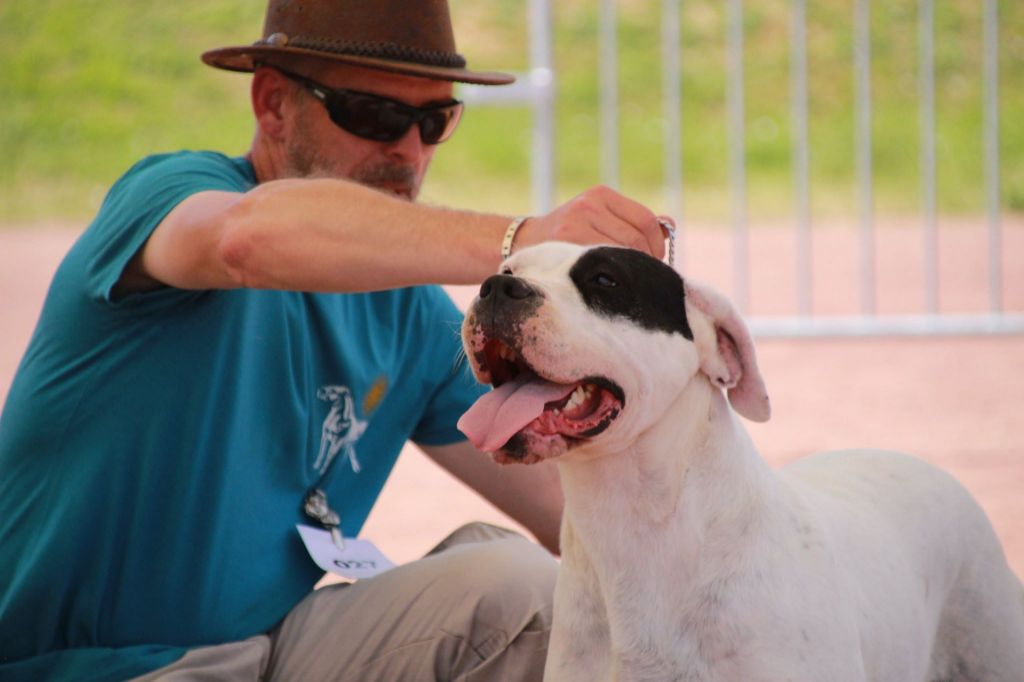 Publication : du Domaine du Sable Blanc Auteur : Le Domaine Du Sable Blanc