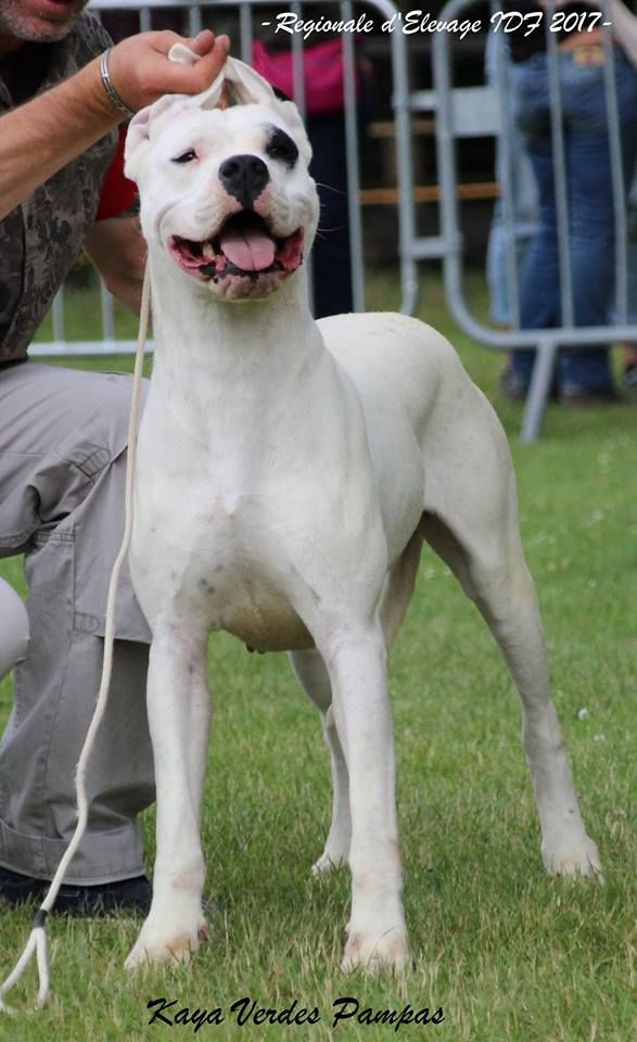 Publication : du Domaine du Sable Blanc Auteur : Le Domaine Du Sable Blanc