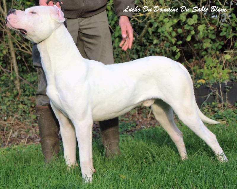 Publication : du Domaine du Sable Blanc Auteur : Le Domaine Du Sable Blanc