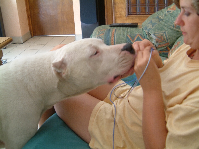 Publication : du Domaine du Sable Blanc Auteur : Corentin