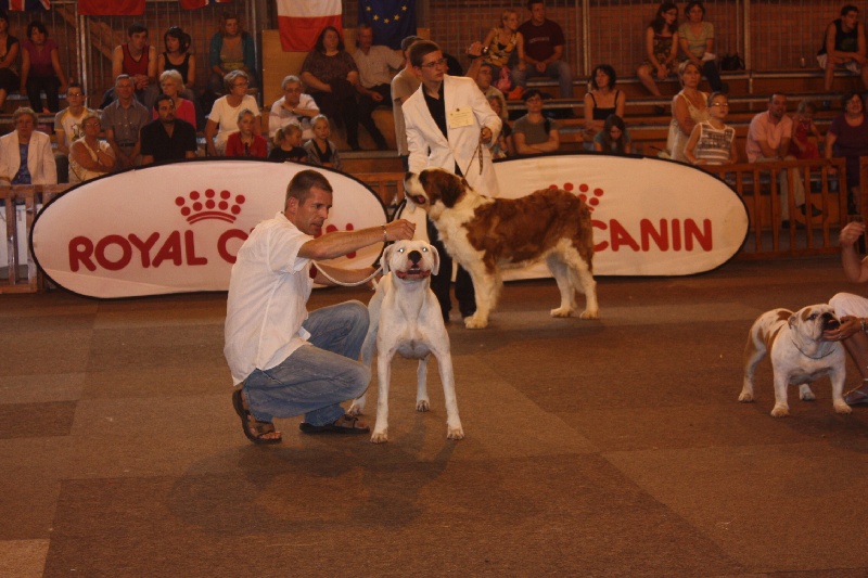 Publication : du Domaine du Sable Blanc Auteur : Delphine