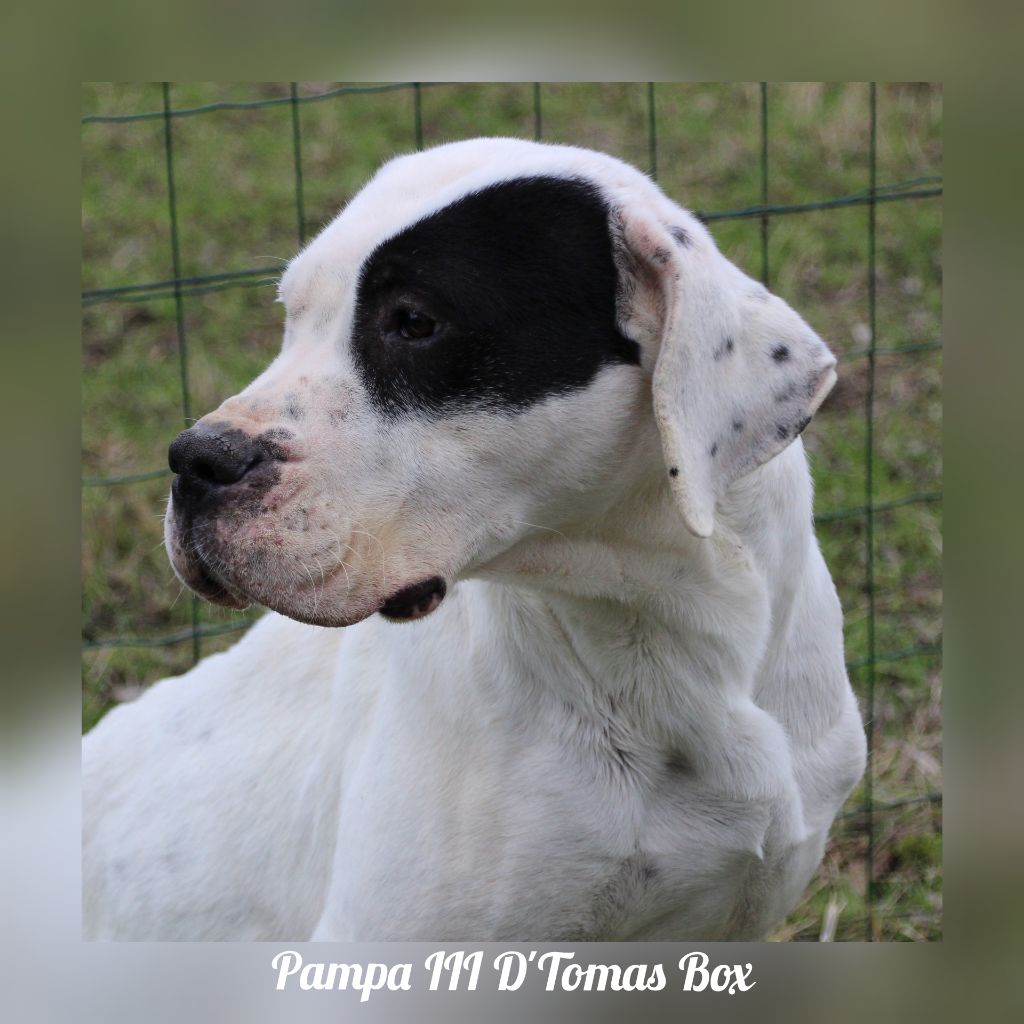 Publication : du Domaine du Sable Blanc Auteur : Le Domaine Du Sable Blanc