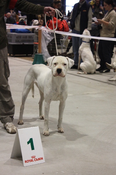 Publication : du Domaine du Sable Blanc Auteur : Delphine