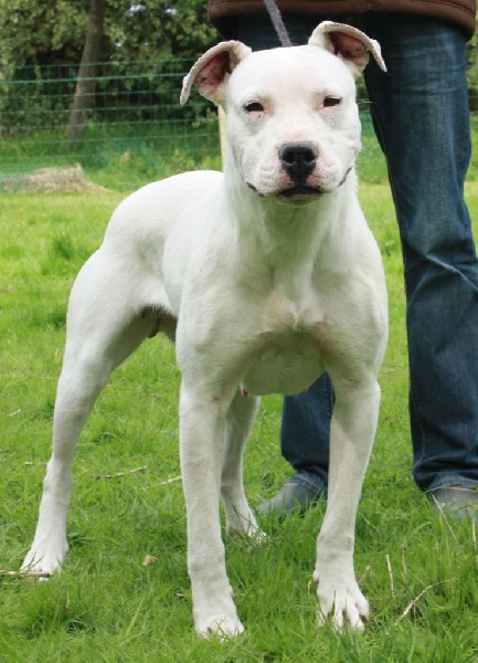 Publication : du Domaine du Sable Blanc Auteur : Le Domaine Du Sable Blanc