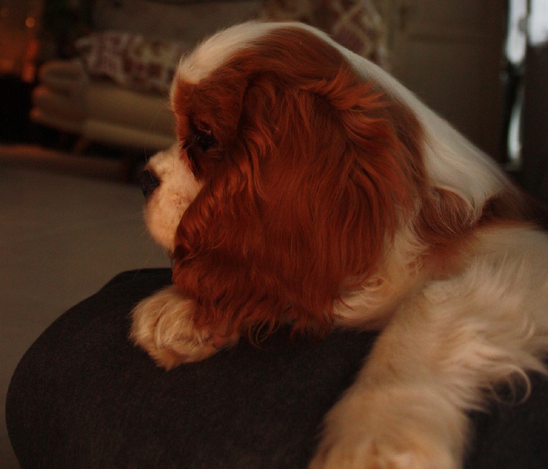 Publication : du Domaine du Sable Blanc