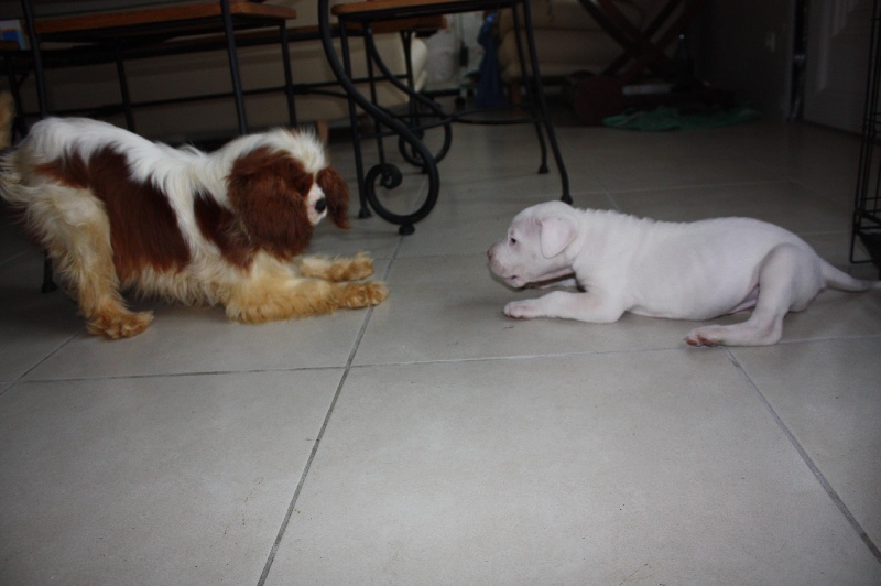 Publication : du Domaine du Sable Blanc