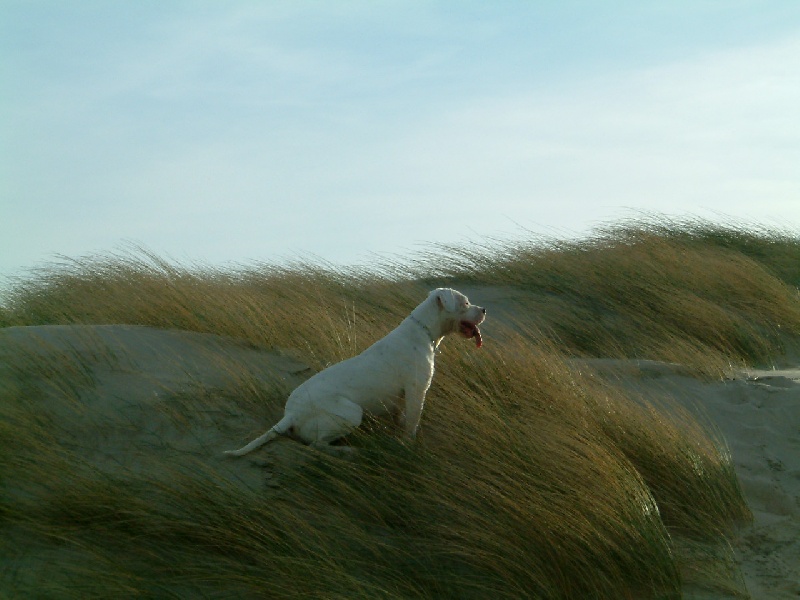 Publication : du Domaine du Sable Blanc Auteur : Delphine