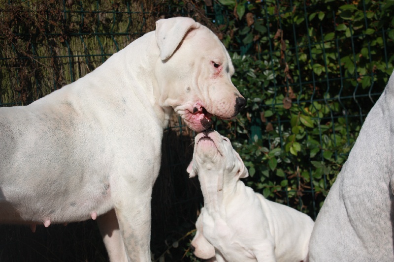 Publication : du Domaine du Sable Blanc Auteur : Delphine