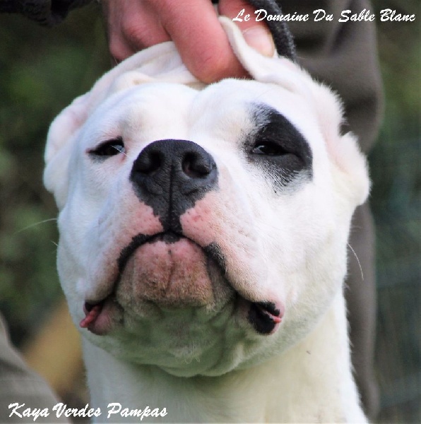 Publication : du Domaine du Sable Blanc Auteur : Le Domaine Du Sable Blanc