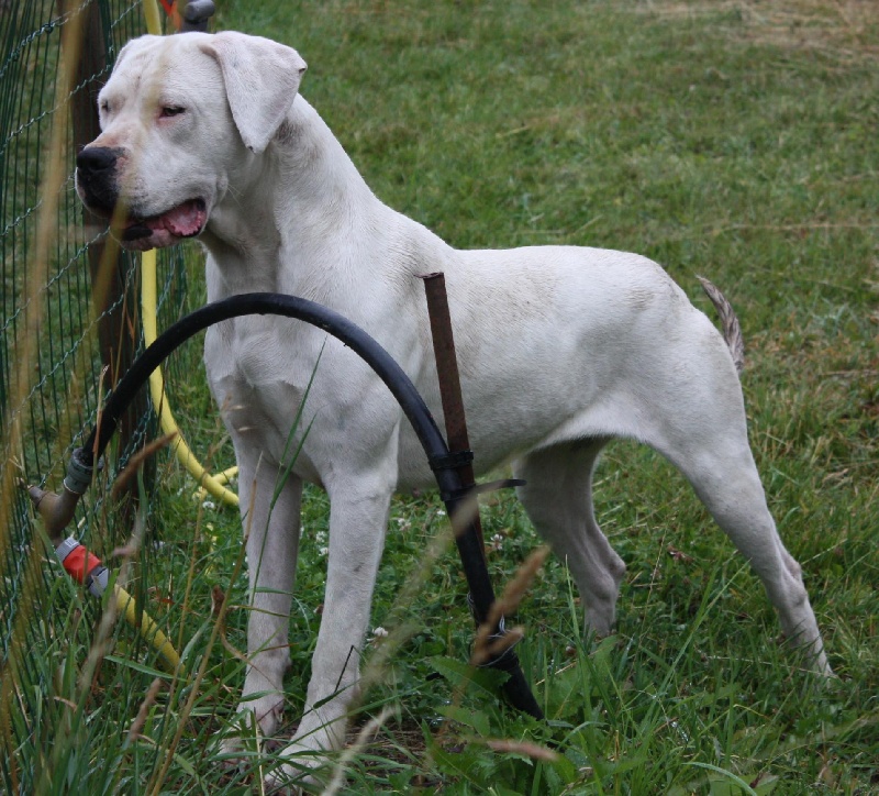 Publication : du Domaine du Sable Blanc Auteur : Le Domaine Du Sable Blanc