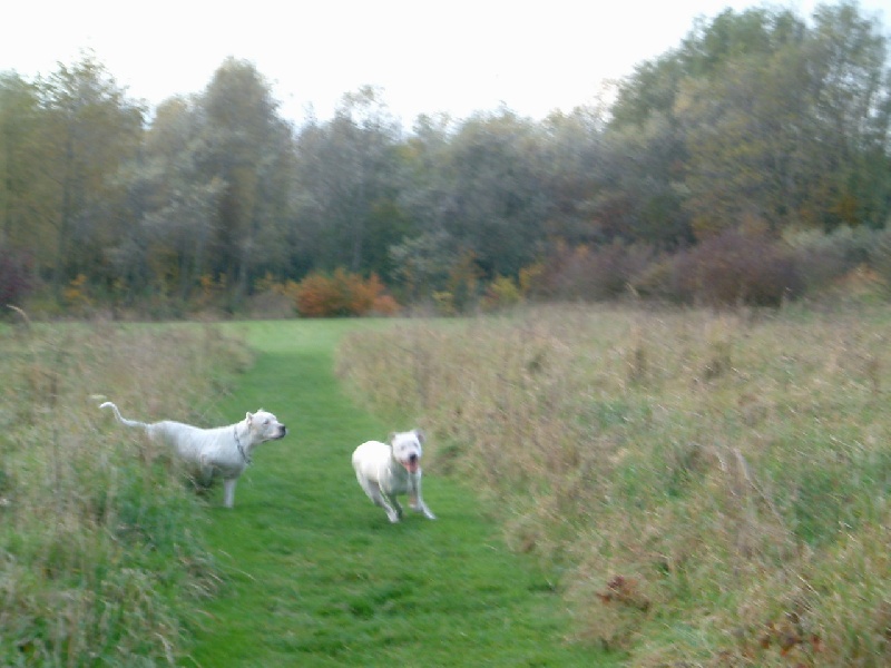 Publication : du Domaine du Sable Blanc Auteur : Delphine