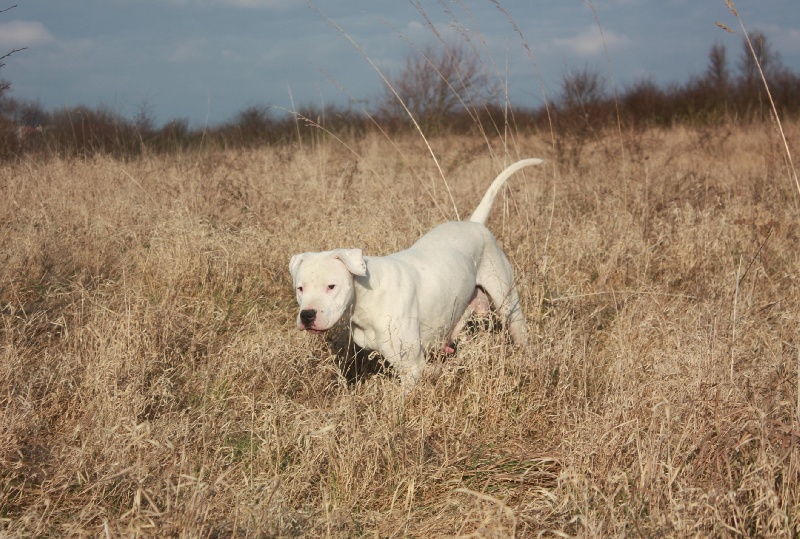 Publication : du Domaine du Sable Blanc Auteur : Delphine