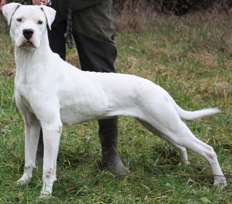 Publication : du Domaine du Sable Blanc Auteur : Le Domaine Du Sable Blanc