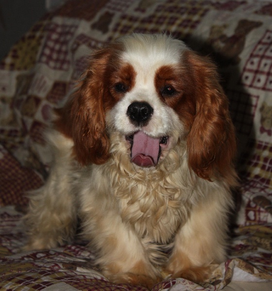 Publication : du Domaine du Sable Blanc