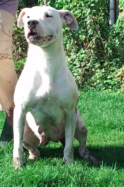 Publication : du Domaine du Sable Blanc Auteur : Le Domaine Du Sable Blanc