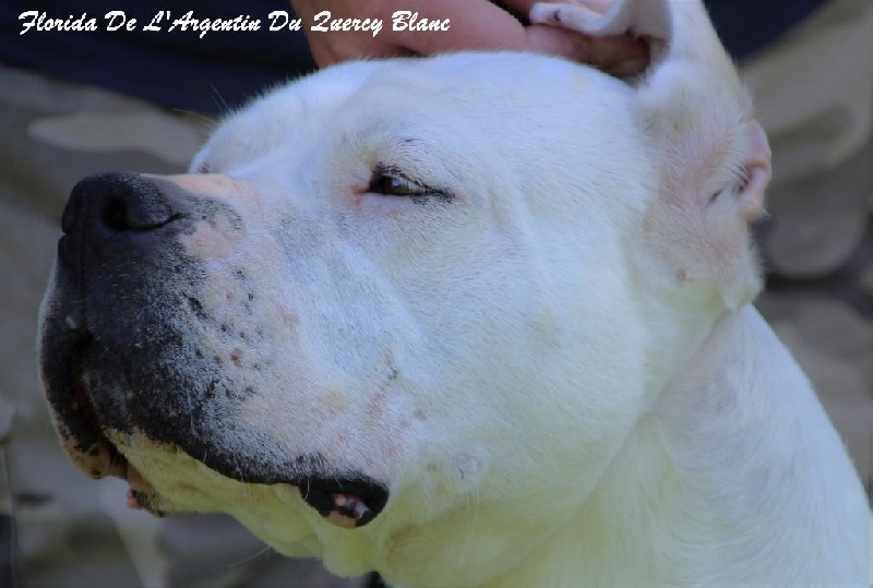 Publication : du Domaine du Sable Blanc Auteur : Le Domaine Du Sable Blanc