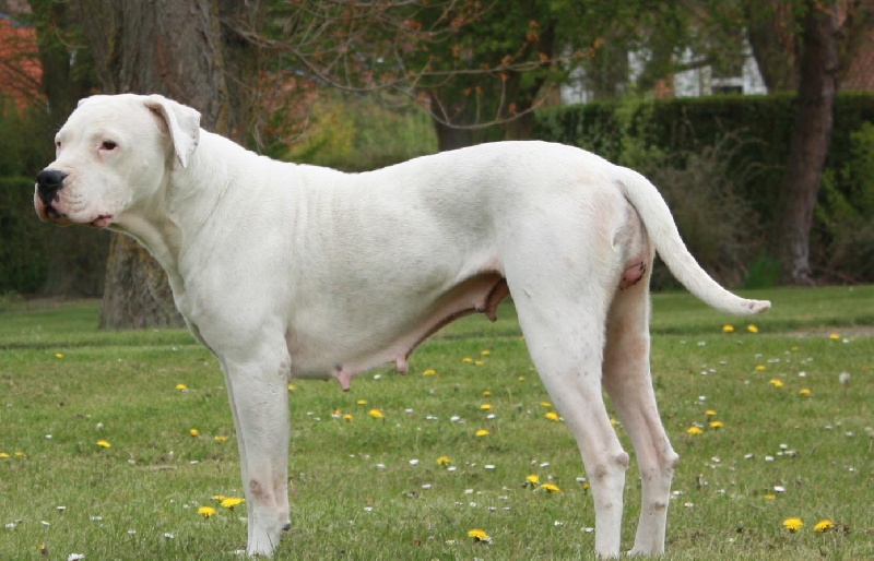 Publication : du Domaine du Sable Blanc Auteur : Delphine