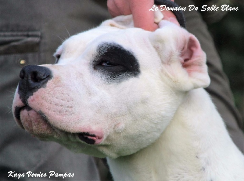 Publication : du Domaine du Sable Blanc Auteur : Le Domaine Du Sable Blanc