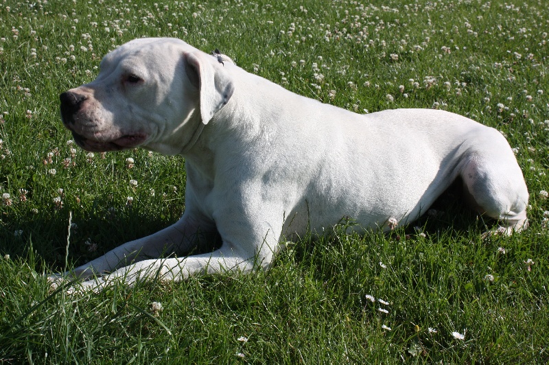 Publication : du Domaine du Sable Blanc Auteur : Delphine