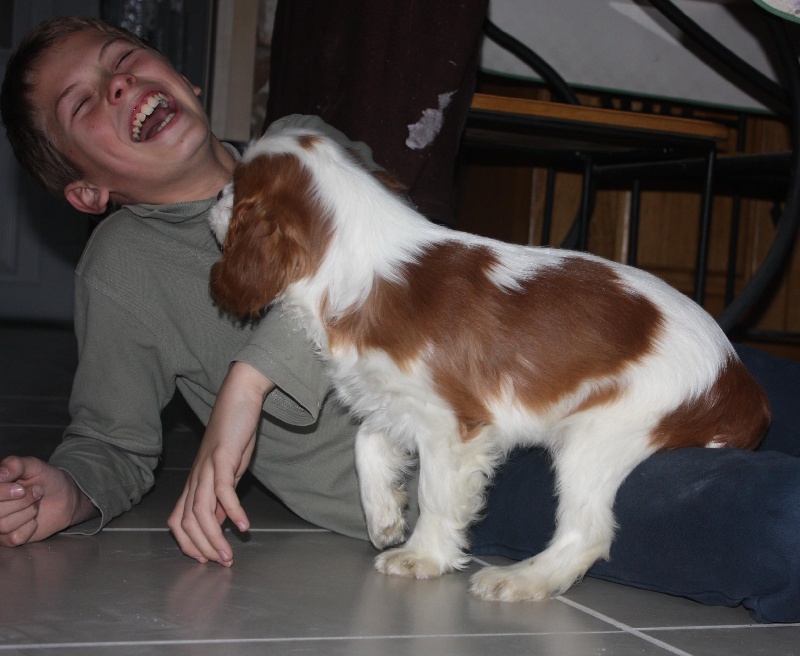 Publication : du Domaine du Sable Blanc