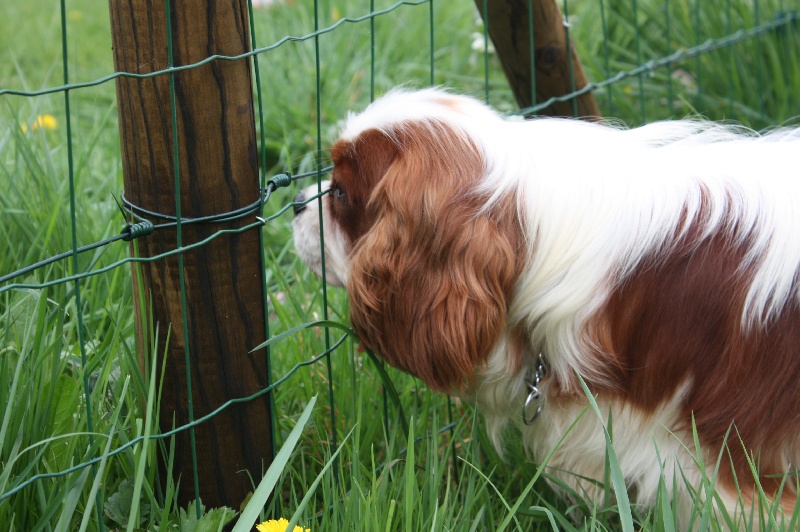 Publication : du Domaine du Sable Blanc