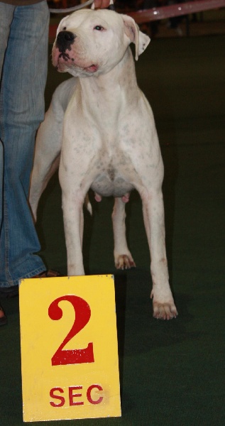 Publication : du Domaine du Sable Blanc Auteur : Delphine