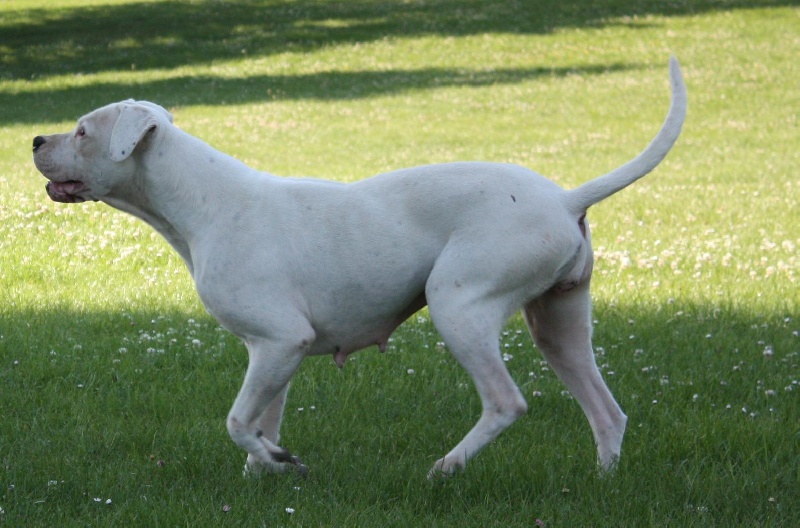 Publication : du Domaine du Sable Blanc Auteur : Delphine