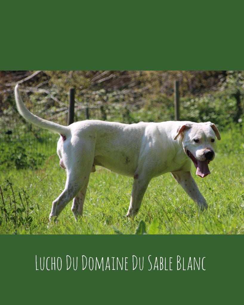 Publication : du Domaine du Sable Blanc Auteur : Le Domaine Du Sable Blanc