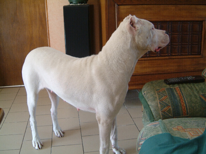 Publication : du Domaine du Sable Blanc Auteur : Corentin