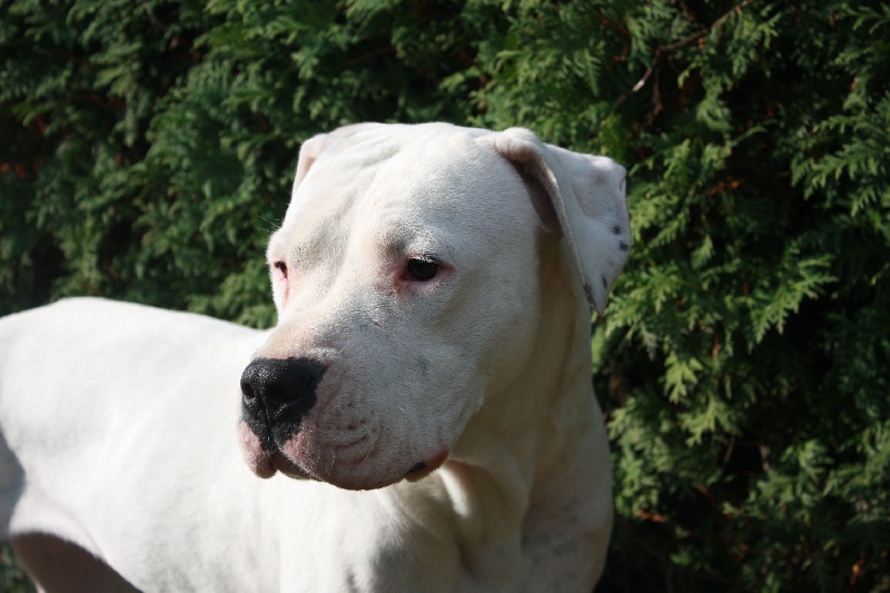 Publication : du Domaine du Sable Blanc Auteur : Delphine